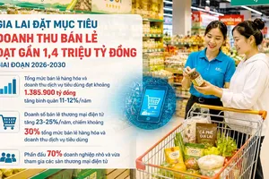 Gia Lai đặt mục tiêu doanh thu bán lẻ đạt gần 1,4 triệu tỷ đồng