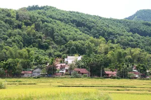 Nỗ lực phòng chống “bệnh lạ” tái phát