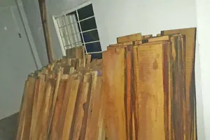 Giám đốc thủy điện Sông Tranh 3 chứa gỗ không rõ nguồn gốc