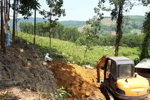 Tiêu hủy hơn 5.000 con gà tại 2 ổ dịch cúm A/H5N6 ở Quảng Nam