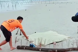 Phát hiện thi thể không còn đầu và tay chân trên biển 