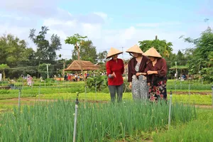 Đón đoàn khách du lịch xông đất Hội An đầu năm