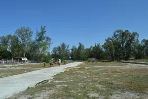 Khởi tố vụ án liên quan đến dự án đô thị Coco Green Home của Công ty Nhất Thành Nam