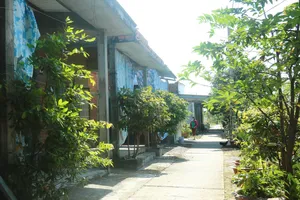 Sức sống ở làng Khmer vùng Đồng Tháp Mười