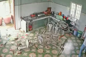 Khởi tố bị can và bắt tạm giam 2 đối tượng về tội hủy hoại tài sản ở Long An