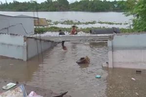 Kiến nghị Thủ tướng cho xử lý khẩn cấp 6 khu vực sạt lở nghiêm trọng ở ĐBSCL