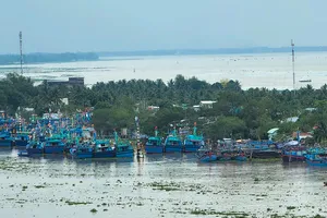 Tiền Giang: 100% tàu cá đang hoạt động đã lắp thiết bị giám sát hành trình