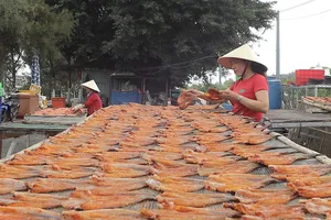 Làng khô cá đồng ở vùng biên