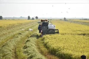 Nâng cao năng lực cho nông dân trong sản xuất nông nghiệp