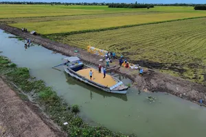 Vùng Đồng Tháp Mười (Long An): Tranh thủ thời tiết nắng ráo thu hoạch lúa Hè Thu 2024