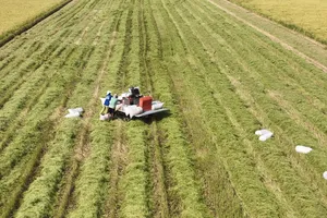 Ứng dụng công nghệ trong canh tác lúa bền vững, giảm phát thải nhà kính