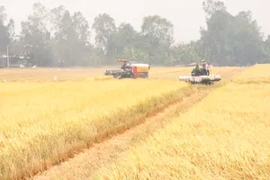 Long An: Năm 2025, đưa cơ giới hóa vào sản xuất lúa đạt 100%