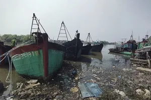 Điều tra nguyên nhân vụ cháy 5 tàu cá ở Tiền Giang