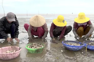 Tiền Giang áp dụng công nghệ mới nuôi trồng thủy sản 