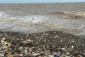 Rác thải ngập bờ biển Gò Công (Đồng Tháp)