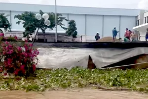 Đồng Tháp tìm giải pháp khắc phục sạt lở kè Thường Thới Tiền