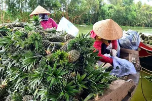 Đồng Tháp đặt chỉ tiêu tỷ trọng kinh tế số năm 2025 đạt 15% GRDP