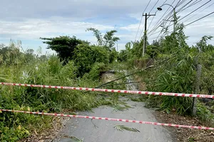 Đồng Tháp: Sạt lở bờ sông Ra Bài, cắt đứt đường giao thông nông thôn