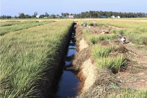 Đồng Tháp: 100% hộ dân ở cù lao nhiễm mặn Tân Phú Đông có nước sạch sử dụng