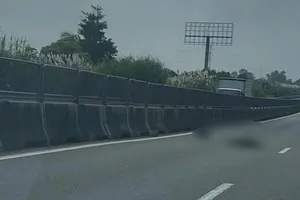 Phát hiện thi thể người nước ngoài trên đường cao tốc Trung Lương - Mỹ Thuận