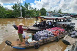 Đồng Tháp: Khai mạc Chợ nổi Cái Bè