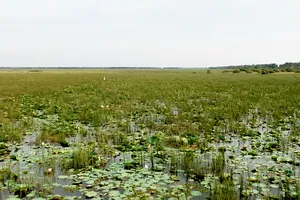 Khởi động dự án phục hồi sinh thái, đảm bảo sinh kế thích ứng khí hậu ĐBSCL