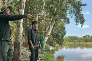 Những người giữ rừng xuyên lễ