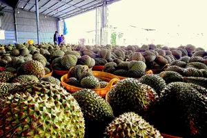 Đồng Tháp, Cà Mau đẩy mạnh số hóa truy xuất nguồn gốc nông sản