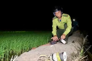 Đồng Tháp tăng cường tuần tra, ngăn chặn săn bắt trái phép chim hoang dã