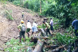 Bắn 3 phát đạn đuổi 2 đối tượng dùng kiếm đánh kiểm lâm