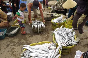 Quảng Bình: Tàu vỏ sắt đóng ở cảng Ba Son thu tiền tỷ sau khi hạ thủy