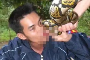 Giết, uống máu trăn gấm quý hiếm rồi đăng hình phản cảm trên facebook