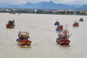 Bão số 13 làm cây xanh ở Đồng Hới bật gốc