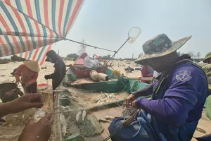 Trúng đậm cá đù, ngư dân bãi ngang thu tiền triệu