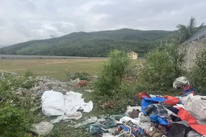 Quảng Bình: Xem xét chấm dứt dự án viên nén năng lượng 240 tỷ đồng