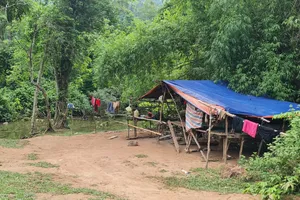 Lán lấy mây - nơi chị Vinh và chị Tha phát hiện thấy hổ cách khoảng 300m 