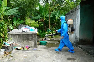 Quảng Bình: 1 người tử vong do sốt xuất huyết 