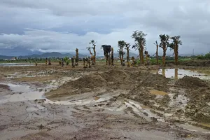 Vụ lấp 10ha ao hồ nuôi trồng thủy sản: Yêu cầu kiểm điểm Phó Chủ tịch thị xã Ba Đồn