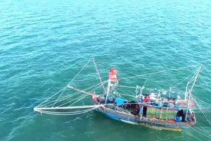 Quảng Bình: Ngư dân trúng đậm tôm biển ngày áp tết