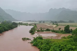 Hai tàu cá bị chìm khi tránh bão số 1, 8 ngư dân may mắn thoát nạn