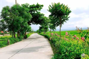 Nông thôn mới Quảng Bình đổi mới bắt đầu từ lòng dân