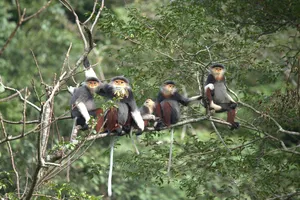 Phong Nha - Kẻ Bàng hướng tới danh hiệu Khu dự trữ sinh quyển thế giới