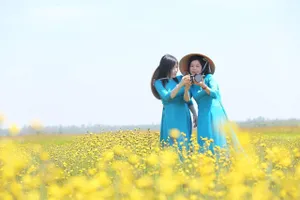 Đồng Tháp phấn đấu doanh thu du lịch đạt 1.000 tỷ đồng