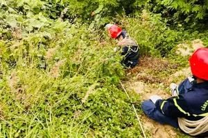 Lực lượng Cảnh sát PCCC và CNCH triển khai công tác tìm kiếm