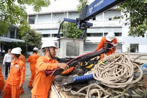 Ngành điện huy động 340 nhân lực khẩn trương khôi phục lưới điện sau bão số 10