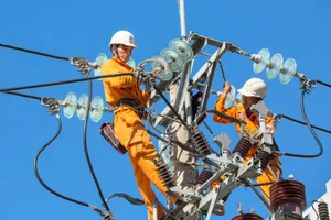 EVNCPC đảm bảo cấp điện an toàn, liên tục phục vụ bầu cử Quốc hội khóa XVI và HĐND các cấp nhiệm kỳ 2026-2031