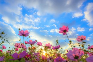 （圖源：互聯網）