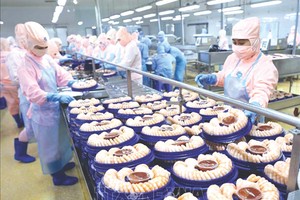 提升蝦類在國際市場競爭力