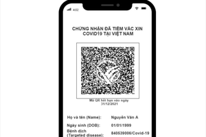 （示意圖源：互聯網）