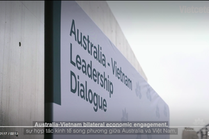 疫後加強越澳持久經合關係